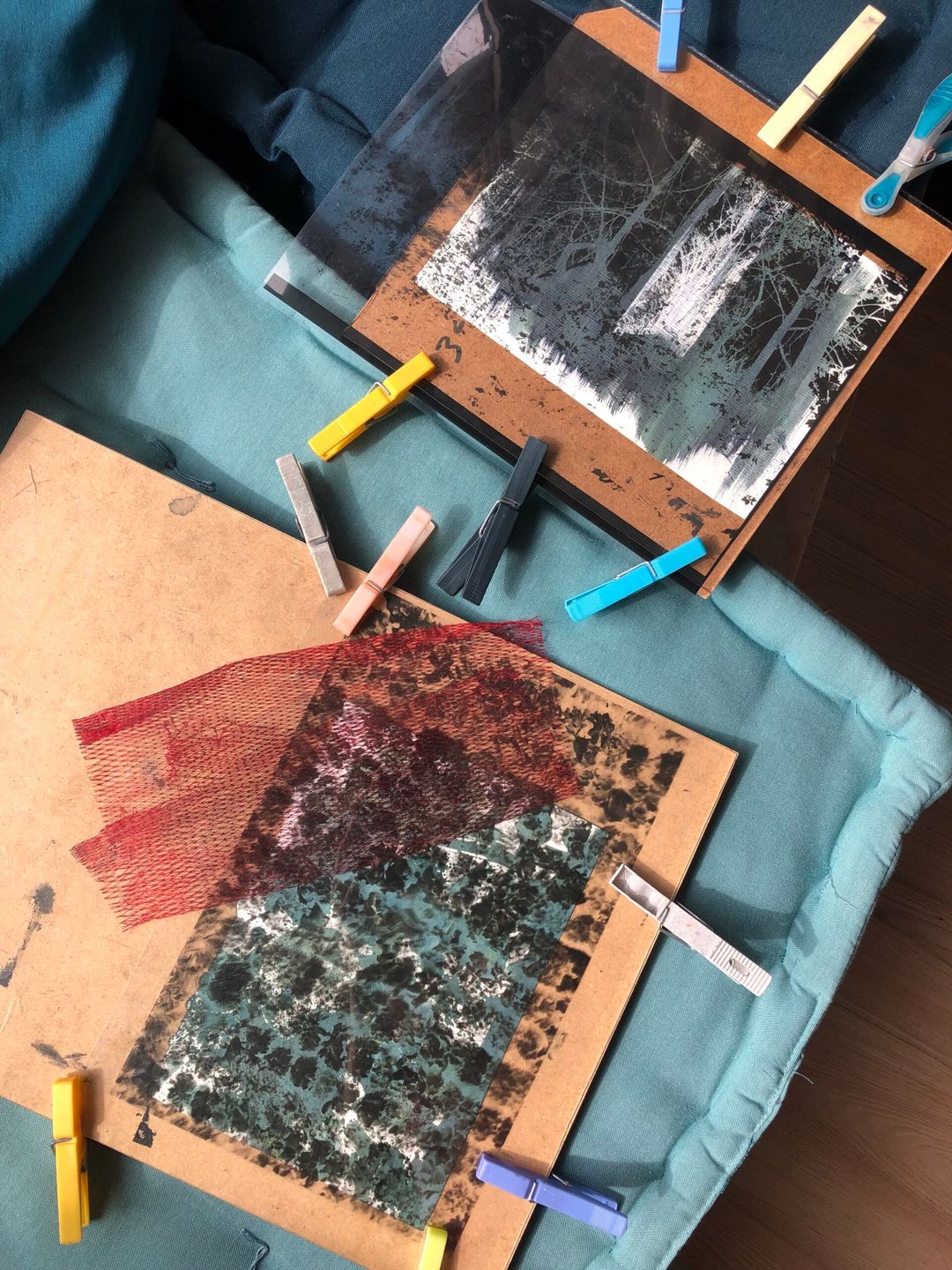 Cyanotype Workshop on Paper (Beginner)